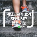 계단오르기 운동효과 이미지