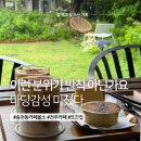 비 오는 날 더 예뻤던 전주 송천동 올소 카페 후기 (마당 감성 제대로)