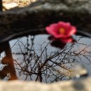 생활역학 이미지