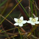 인간의 딜레마 이미지