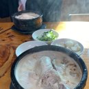 조도령삼계탕