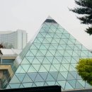 유럽산책 | 경주에 유럽이 있다고? 🇫🇷🇮🇹 보문호 야경 산책 후기