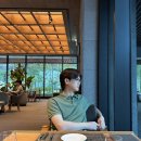 솔올정원 | 있는 여행, 강원도 정선으로(파크로쉬, 가리왕산 케이블카, 강릉시립미술관 솔올, 이모네생선찜, 신화횟집)