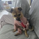 연화경로당 이미지