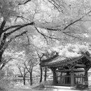 이공제비 및 군수이후범선영세불망비 이미지