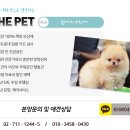 온사랑펫 이미지