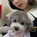 동백산방 이미지