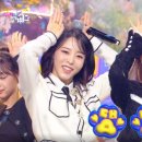 너는 내 댕댕 이미지