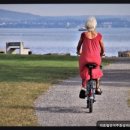 의료법인 효성재단 이미지