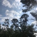 대림반점 이미지