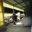 춘양농장 이미지