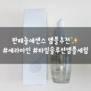 판테놀에센스 추천 세라마인 속건조 잡는 오일프리 수분광 후기