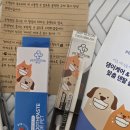(주)우리덴탈 | 🐶 페디슨 덴탈케어 강아지 칫솔 세트 솔직후기 ✨