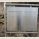 탑평리 갓바위마애불 이미지