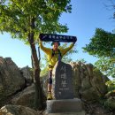 청목장갑 이미지