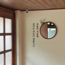 카페보보 - 강남구 선릉로 221 | [공지] 진짜 생과일이 씹히는 아이스티와 바스크 치즈케이크 맛집 카페 '보보정' 후기