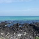 푸른바다 이미지