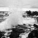 바닷가에서 이미지