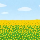 장터순대국 이미지