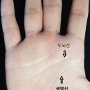 관상학&수상학 이미지