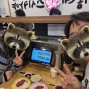 우리동네회식당 | [장안구 회전초밥 맛집] 북수원 우리동네 스시카야 솔직 후기