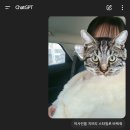 더이쁘게 이미지