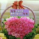 그린나눔공연예술단 | [2.000회 특집공연 뉴스] 무궁화꽃예술단(모규순단장...한마음주간보호센터 에서 나눔 효 공연을 가져