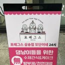 포레그스 이미지