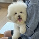 노든 이미지