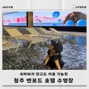 청원사우나 | 청주 엔포드호텔 아기랑 숙박없이 수영장 이용 후기