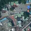 [경기도][김포] 북변동 550년 은행나무 보호수 (옛김포경찰서, 경기-김포-1)