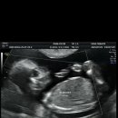 가온의료소비자생활협동조합 세나여성의원 이미지