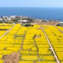 낭만가득청도펜션 이미지