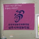 언니네텃밭영광공동체