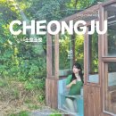 [청주 여행] 소토소토 @ 풀빌라 독채 펜션 내돈내산 솔직 후기