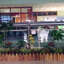 보정초등학교 이미지