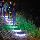 엑스포공원 이미지