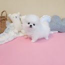 숨골농장 이미지