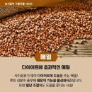 구황 이미지