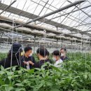 영자농장 이미지