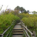 독서당공원 이미지