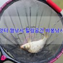 비봉 낚시터 네이버블로그