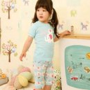 데이클로 이미지