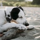 S034 | 턱관절 치료 비용 :: 턱관절 전문병원에서 MRI 찍고 치료한 후기