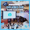 잇다코리아(ITDAA Korea) | [공지] [후기] 2025 세계 인도주의의 날 캠페인 '아주 보통의하루, 일상을 지키는 사람들' 팝업 방문 후기