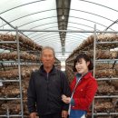 내흥리농장 이미지