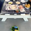 로뎀트리로뎀나무