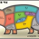 돼지 부위별 해설 ~ ㅎ 이미지