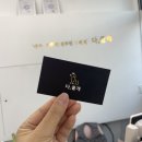 다줄 | [안양 애견분양/용품점] 다줄개 방문후기ღ