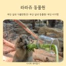 라라피쉬 | 부산 실내 가볼만한곳 아기랑 가기좋은 강서구 실내 라라쥬동물원